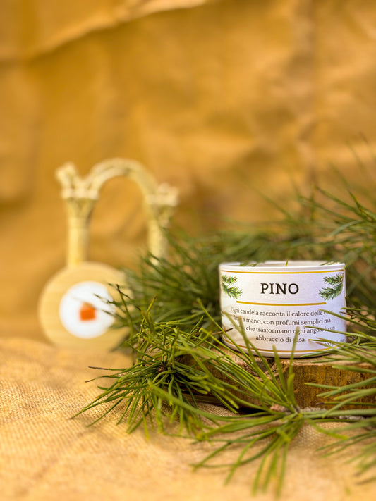 Candela al Pino – Freschezza e Natura Selvaggia